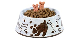 A bowl of dog food