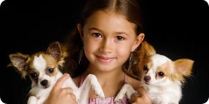 Little girl carrying two chihuahuas