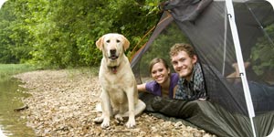 Camping with dog