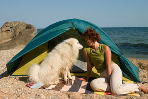 camping with dog