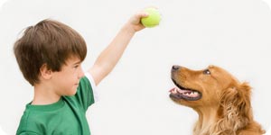 Kid playing with his pet dog