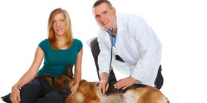 Treating canine disease
