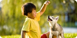 Playing outdoors with pet